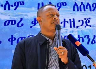 “የባሕር ዳር ከተማ ምልክት እና የቱሪዝም ስበት ለኾነው የጢስ ዓባይ አካባቢ ሰላም እና ልማት ያለመታከት እንሠራለን” ተቀዳሚ ምክትል ከንቲባ ጎሹ እንዳላማው