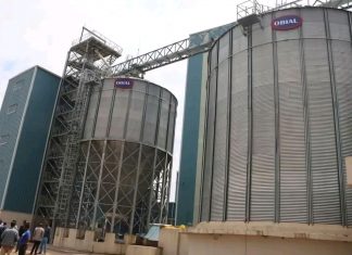 የእንስሳት መኖ አቅርቦት ችግርን እየፈታ የሚገኘው ፋብሪካ