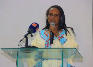 “የፈጠራ ምንጮች አነስተኛ የሚመስሉ አስገራሚ ሀሳቦች ናቸው” ሙሉነሽ ደሴ (ዶ.ር)