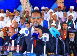 “በባሕር ዳር ከተማ ለምለም ዘንባባዎች ውስጥ ሰላም ብቻ ነው የሚዘመረው” ምክትል ከንቲባ አስሜ ብርሌ