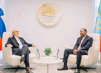 ኢትዮጵያ እና ስሎቬንያ ሪፐብሊክ በሁለትዮሽ ጉዳዮች ዙሪያ ተወያዩ።