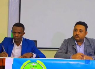 “የምርጥ ዘር አቅርቦት ለግብርና ሽግግር ወሳኝ ነው” ድረስ ሳህሉ(ዶ.ር)