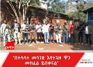በሰሜን ሜጫ አካባቢ ሲንቀሳቀሱ የነበሩ ታጣቂዎች መንግሥት ያቀረበውን የሰላም ጥሪ ተቀበሉ።