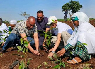 “በጽናት የመሥራት፣ በማሳ የመተጋገዝ ባሕል በሁሉም አካባቢ አጠናክሮ ማስቀጠል ያስፈልጋል” ምክትል ጠቅላይ ሚኒስትር ተመስገን ጥሩነህ