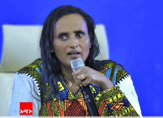 “የ25 ዓመታቱ ዕቅድ ከችግር ላይ ትምህርት የወሰደ የቁጭት ዕቅድ ነው” ሙሉነሽ ደሴ (ዶ.ር)