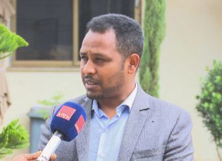 ሁለገብ ጠቀሜታ ያላቸው እና ለደን ልማት የሚውሉ የዕጽዋት ዝርያዎችን እያዘጋጀ መሆኑን የምሥራቅ ጎጃም ዞን ገለጸ።