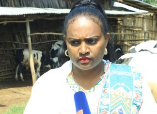 በባሕር ዳር ከተማ አሥተዳደር በከተማ ግብርና ሥራ የተሰማሩ ሴቶች ውጤታማ መኾናቸውን ተናገሩ፡፡