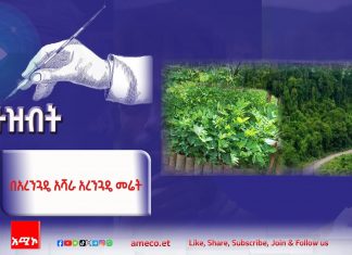 “በአረንጓዴ አሻራ አረንጓዴ መሬት”