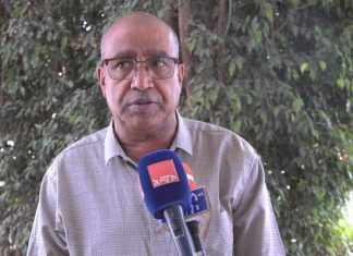 በማኅበረሰቡ ችግኞችን የማልማት ልምድ እያደገ መጥቷል።