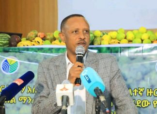 3 ነጥብ 4 ሚሊዮን ችግኝ ለመትከል ዝግጅት ማጠናቀቁን የባሕርዳር ከተማ አሥተዳደር አስታወቀ።