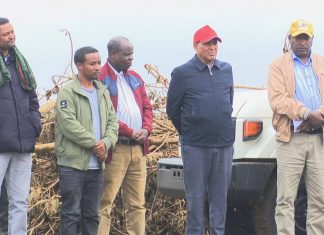 በምሥራቅ ጎጃም ዞን ከ25 ሚሊዮን ኩንታል በላይ ምርት ለማግኘት እየተሠራ ነው።