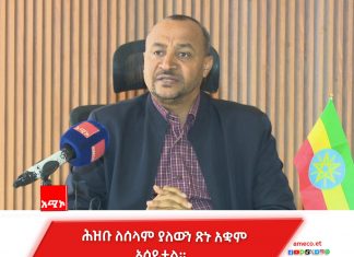 ኅብረተሰቡ በሰላማዊ ሰልፍ የጠየቃቸውን የሰላም እና የልማት ጥያቄዎች ለመፍታት በትኩረት ይሠራል።