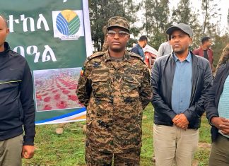 ከ114 ሚሊዮን በላይ ችግኞችን በአረንጓዴ አሻራ መርሐ ግብር ለመትከል ዝግጅት ተደርጓል።