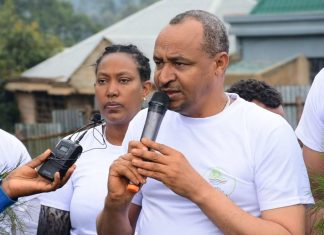 ከ10 ሚሊዮን በላይ ችግኞችን ለተከላ ማዘጋጀቱን የደብረ ማርቆስ ከተማ አሥተዳደር ግብርና መምሪያ አስታወቀ።