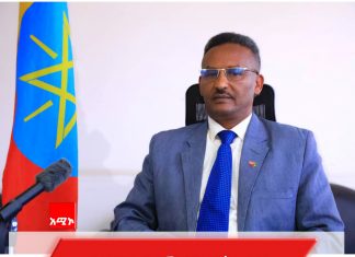 የተገኘውን አንጻራዊ ሰላም ለማጽናት በትኩረት እየተሠራ መኾኑን የደቡብ ጎንደር ዞን አስታወቀ።