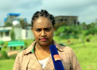 ችግኞችን ከመትከል ባለፈ በመንከባብ እንዲጸድቁ እናደርጋለን።