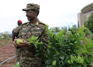 መከላከያ ሠራዊት ከግዳጅ ባሻገር በችግኝ ተከላ የካበተ ልምድ እንዳለው ፊልድ ማርሻል ብርሃኑ ጁላ ተናገሩ።