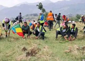 በሰሜን ሸዋ ዞን ጣርማበር ወረዳ የአንድ ጀንበር ችግኝ ተከላ እየተካሄደ ነው።