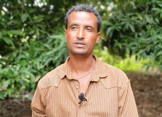 ከ22 ሺህ 300 ኩንታል በላይ የአፈር ማዳበሪያ ወደ ዞኑ መድረሱን የምዕራብ ጎንደር ዞን አስታወቀ።