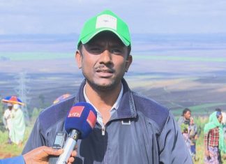 ወጣቶችም ከችግኝ ተከላ ባለፈ በተለያዩ የሥራ ዘርፎች ተሰማርተው ማኅበረሰቡን ተጠቃሚ ለማድረግ እየሠሩ ስለመኾናቸውም አብራርተዋል፡፡