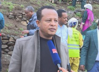 ኢኮኖሚያዊ ጠቀሜታ ያላቸው የአትክልት እና ፍራፍሬ ችግኞች እየተተከሉ ነው።