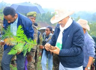 ርእሰ መሥተዳድር አረጋ ከበደ ክልላዊ የአረንጓዴ አሻራ መርሐ ግብር በአቦላ ተራራ አስጀመሩ።