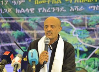 “የግጭት ቀጣና በነበረ አካባቢ ችግኝ መትከል ልዩ ትርጉም አለው” ርእሰ መሥተዳድር አረጋ ከበደ