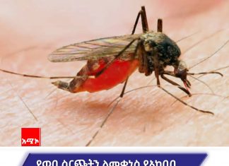 የወባ በሽታ ስርጭት ከጊዜ ወደ ጊዜ እየተባባሰ ነው።