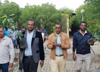 ሰላምን በዘላቂነት ከመጠበቅ ጎን ለጎን የአረንጓዴ አሻራ ተሳትፎ ተጠናክሮ ይቀጥላል።