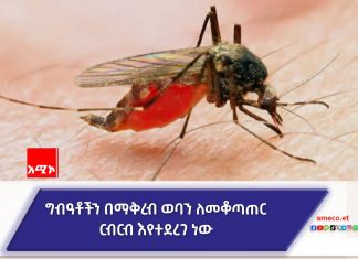 የወባ ስርጭት ካለፈው ዓመት ጋር ሲነጻጸር ጭማሪ አሳይቷል።