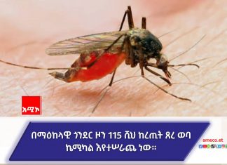 በማዕከላዊ ጎንደር ዞን ሊከሰት የሚችለውን የወባ ወረርሽኝን ለመከላከል እየተሠራ ነው።