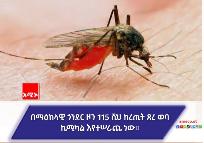 FB_IMG_1752151254632