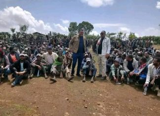 የሰላም አማራጭን የተቀበሉ ታጣቂዎች አቀባበል ተደረገላቸው።