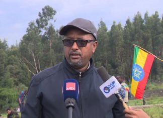 የተተከሉ ችግኞች እንዲጸድቁ ክትትል እንደሚደረግ ምክትል ከንቲባ ጃንጥራር ዓባይ ተናገሩ።