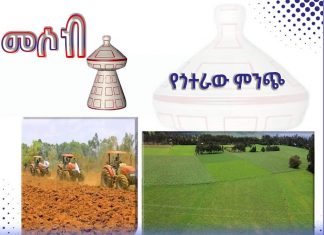 በአማራ ክልል ስንት ሄክታር መሬት ታርሷል?