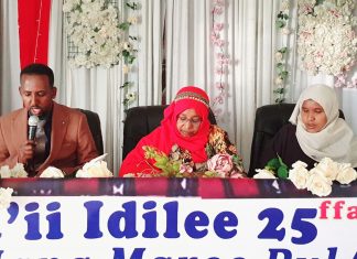 በኦሮሞ ብሔረሰብ አሥተዳደር ከሰላም ማስከበር ጎን ለጎን በርካታ ፕሮጀክቶች ተገንብተዋል።