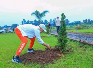 “በመትከል ማንሠራራት ጉዞ ላይ ነን” ምክትል ጠቅላይ ሚኒስትር ተመስገን ጥሩነህ