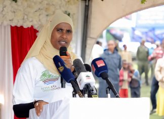 መንግሥት የዜጎችን ሕይወት ለመቀየር በክረምት የበጎ ፈቃድ አገልግሎት ትኩረት አድርጎ እየሠራ ነው።