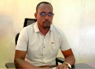 በመኸር የእርሻ ወቅት ከ137 ሺህ ሄክታር መሬት በላይ በአኩሪ አተር መሸፈኑን የምዕራብ ጎንደር ዞን አስታወቀ።