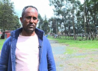 ሰላምን የመረጡ የታጣቂ መሪዎች እና አባላቱ ወደ አካባቢያቸው ተመለሱ።