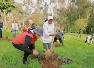 “ዛሬ ላይ የምንተክለው ችግኝ ለነገው ትውልድ የምናስረክበው ገጸ በረከት ነው” ከንቲባ አዳነች አቤቤ