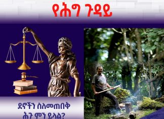 ደኖችን ስለመጠበቅ ሕጉ ምን ይላል?