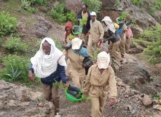 የልማት አርበኞች አሻራቸውን ሊያሳርፉ ነው።