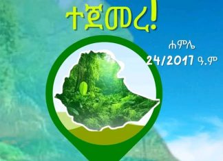 “የአረንጓዴ አሻራ መርሐ ግብር ሚሊዮኖችን ለአንድ ዓላማ እንዲሰለፉ ማድረግ መቻሉ ትልቅ ትርጉም አለው” የቱሪዝም ሚኒስትር ሰላማዊት ካሳ