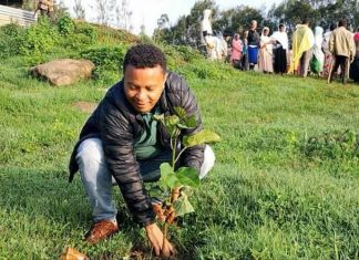 የአንድ ጀምበር የአረንጓዴ አሻራ ችግኝ ተከላ መርሐ ግብር በፍኖተ ሰላም ከተማ ተጀመረ።