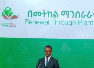 “እስከ ረፋዱ 5:00 ሰዓት 355 ነጥብ 5 ሚሊዮን ችግኞች ተተክለዋል” የመንግሥት ኮሙዩኒኬሽን አገልግሎት