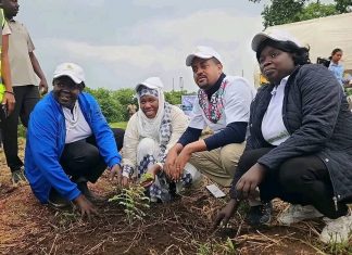 “የአረንጓዴ አሻራ መርሐ ግብር ለትውልድ የተመቼች ሀገር ለመገንባት የሚያስችል ታላቅ ሀገራዊ ንቅናቄ ነው” ርእሰ መሥተዳድር ዓለሚቱ ኡሞድ