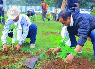 የአንድ ጀንበር ችግኝ ተከላ መርሐ ግብር በባሕር ዳር ድንባንቄ ተራራ ላይ እየተካሄደ ነው።
