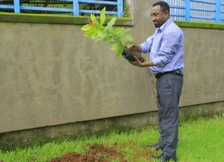 የልህቀት እና ዲዛይን ቁጥጥር ኮርፖሬሽን የሥራ አመራር ቦርድ አባላት አረንጓዴ አሻራቸውን አኑረዋል።