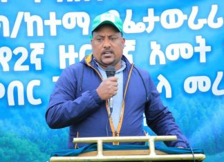 ችግኞችን በመትከል የመጽደቅ ምጣኔያቸውን ማሳደግ ይገባል።